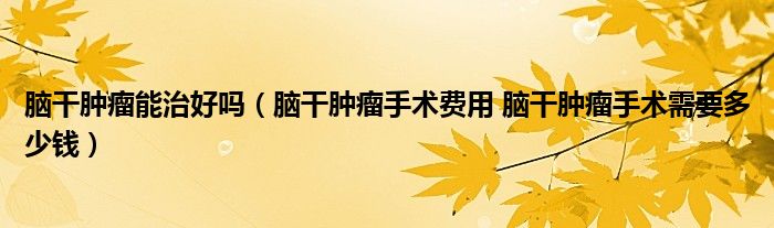 脑干肿瘤能治好吗（脑干肿瘤手术费用 脑干肿瘤手术需要多少钱）