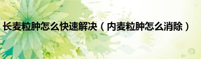 长麦粒肿怎么快速解决（内麦粒肿怎么消除）