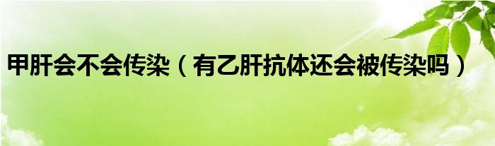 甲肝会不会传染（有乙肝抗体还会被传染吗）