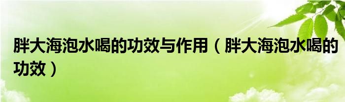 胖大海泡水喝的功效与作用（胖大海泡水喝的功效）