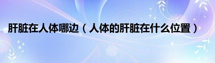 肝脏在人体哪边（人体的肝脏在什么位置）