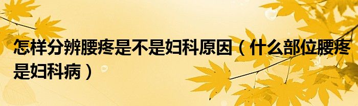 怎样分辨腰疼是不是妇科原因（什么部位腰疼是妇科病）