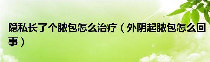 隐私长了个脓包怎么治疗（外阴起脓包怎么回事）