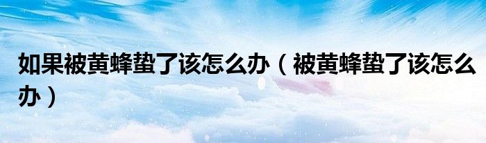 如果被黄蜂蛰了该怎么办（被黄蜂蛰了该怎么办）