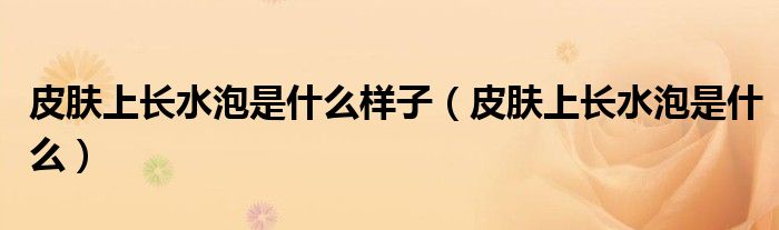 皮肤上长水泡是什么样子（皮肤上长水泡是什么）