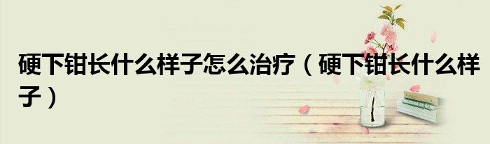 硬下钳长什么样子怎么治疗（硬下钳长什么样子）