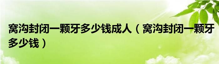 窝沟封闭一颗牙多少钱成人（窝沟封闭一颗牙多少钱）