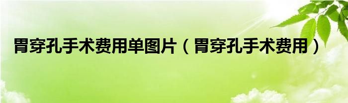 胃穿孔手术费用单图片（胃穿孔手术费用）