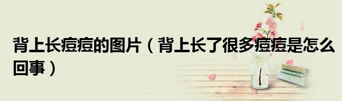 背上长痘痘的图片（背上长了很多痘痘是怎么回事）