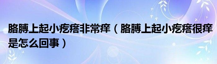 胳膊上起小疙瘩非常痒（胳膊上起小疙瘩很痒是怎么回事）