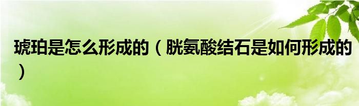 琥珀是怎么形成的（胱氨酸结石是如何形成的）