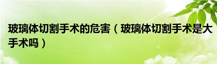 玻璃体切割手术的危害（玻璃体切割手术是大手术吗）