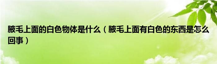 腋毛上面的白色物体是什么（腋毛上面有白色的东西是怎么回事）