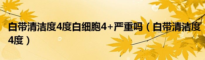 白带清洁度4度白细胞4+严重吗（白带清洁度4度）