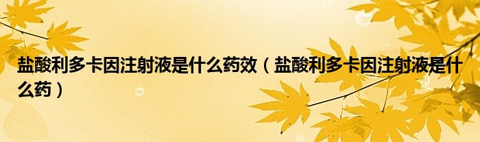 盐酸利多卡因注射液是什么药效（盐酸利多卡因注射液是什么药）