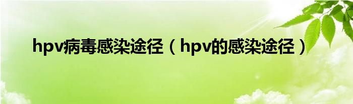hpv病毒感染途径（hpv的感染途径）