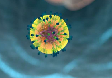 研究人员确定了在 T 细胞内运行的关键免疫检查点蛋白