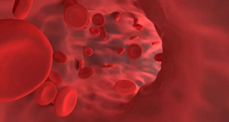 microRNA 如何保护血管完整性