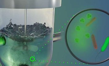 磁性细菌微生物可以帮助从废水中提取危险的重金属