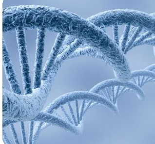 新的 CRISPR 基因组编辑技术帮助科学家探索许多与癌症相关的突变