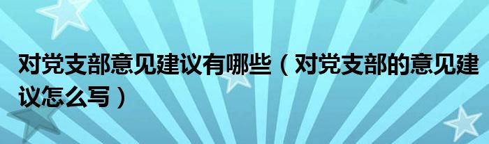 对党支部意见建议有哪些（对党支部的意见建议怎么写）