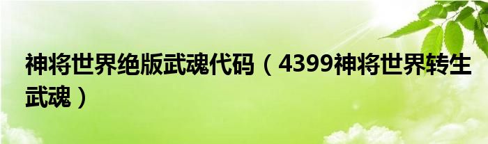 神将世界绝版武魂代码（4399神将世界转生武魂）