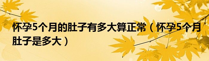 怀孕5个月的肚子有多大算正常（怀孕5个月肚子是多大）