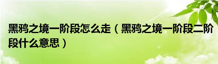 黑鸦之境一阶段怎么走（黑鸦之境一阶段二阶段什么意思）