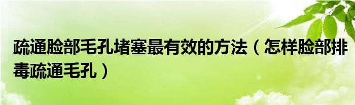 疏通脸部毛孔堵塞最有效的方法（怎样脸部排毒疏通毛孔）