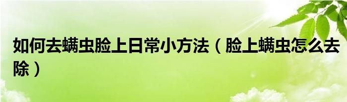 如何去螨虫脸上日常小方法（脸上螨虫怎么去除）