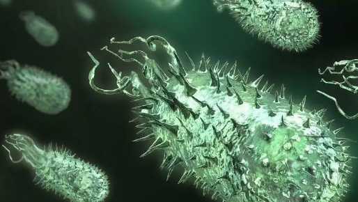 低成本 可回收的粉末利用阳光杀死数以千计的水生细菌