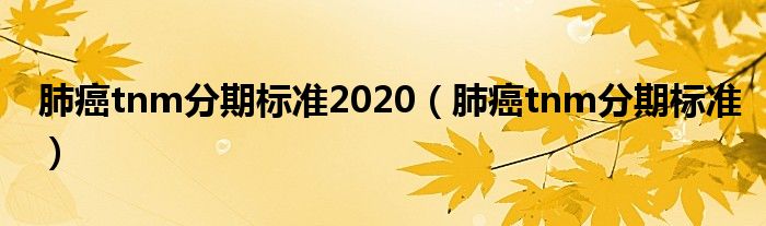 肺癌tnm分期标准2020（肺癌tnm分期标准）