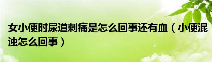 女小便时尿道刺痛是怎么回事还有血（小便混浊怎么回事）