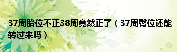 37周胎位不正38周竟然正了（37周臀位还能转过来吗）