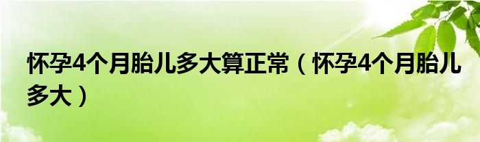 怀孕4个月胎儿多大算正常（怀孕4个月胎儿多大）