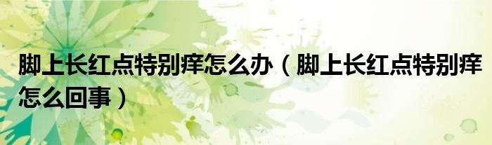 脚上长红点特别痒怎么办（脚上长红点特别痒怎么回事）
