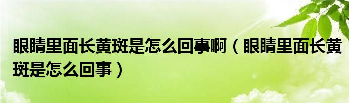 眼睛里面长黄斑是怎么回事啊（眼睛里面长黄斑是怎么回事）