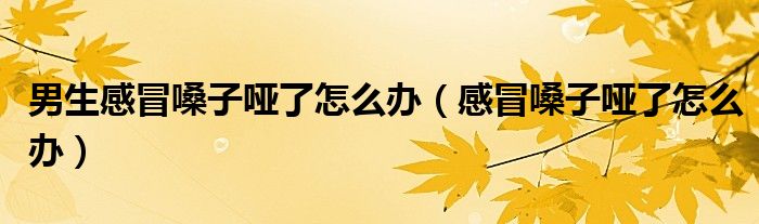 男生感冒嗓子哑了怎么办（感冒嗓子哑了怎么办）