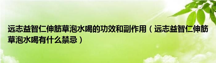 远志益智仁伸筋草泡水喝的功效和副作用（远志益智仁伸筋草泡水喝有什么禁忌）