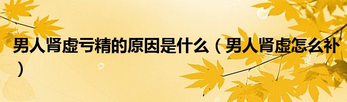 男人肾虚亏精的原因是什么（男人肾虚怎么补）