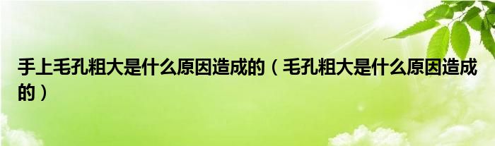 手上毛孔粗大是什么原因造成的（毛孔粗大是什么原因造成的）