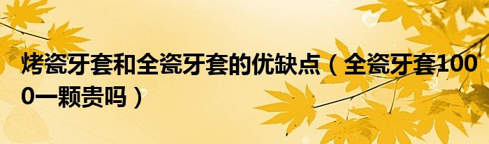 烤瓷牙套和全瓷牙套的优缺点（全瓷牙套1000一颗贵吗）