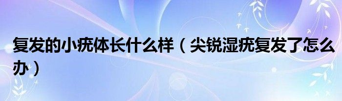 复发的小疣体长什么样（尖锐湿疣复发了怎么办）