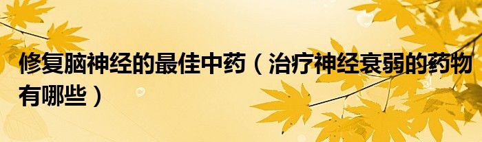 修复脑神经的最佳中药（治疗神经衰弱的药物有哪些）