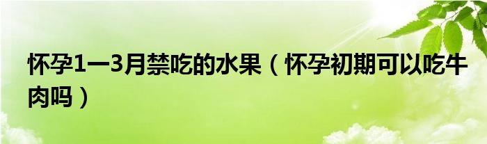 怀孕1一3月禁吃的水果（怀孕初期可以吃牛肉吗）