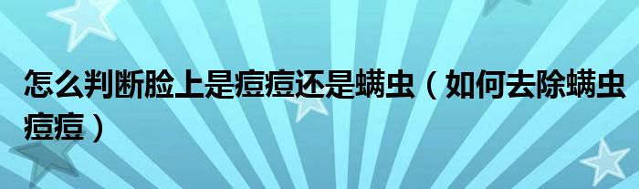 怎么判断脸上是痘痘还是螨虫（如何去除螨虫痘痘）