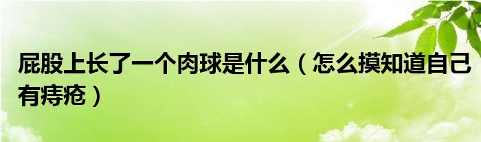 屁股上长了一个肉球是什么（怎么摸知道自己有痔疮）