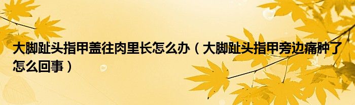 大脚趾头指甲盖往肉里长怎么办（大脚趾头指甲旁边痛肿了怎么回事）