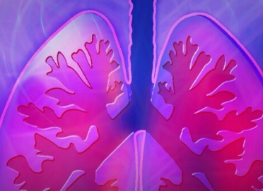 化学致癌物暴露对核苷酸水平肺DNA定位的影响