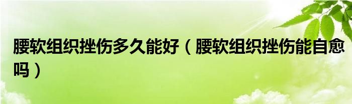 腰软组织挫伤多久能好（腰软组织挫伤能自愈吗）